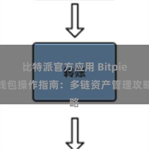 比特派官方应用 Bitpie钱包操作指南：多链资产管理攻略