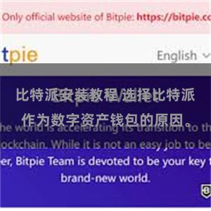 比特派安装教程 选择比特派作为数字资产钱包的原因。