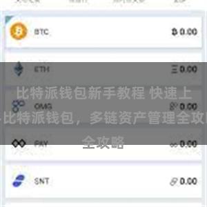 比特派钱包新手教程 快速上手比特派钱包，多链资产管理全攻略