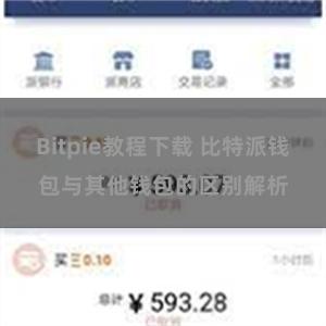 Bitpie教程下载 比特派钱包与其他钱包的区别解析