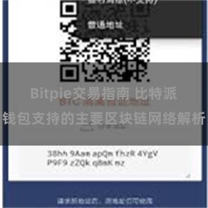 Bitpie交易指南 比特派钱包支持的主要区块链网络解析