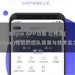 Bitpie APP功能 比特派(Bitpie)钱包的团队背景与技术实力
