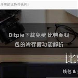 Bitpie下载免费 比特派钱包的冷存储功能解析