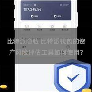 比特派隐私 比特派钱包的资产风险评估工具如何使用？