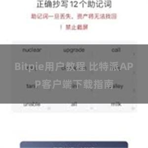 Bitpie用户教程 比特派APP客户端下载指南