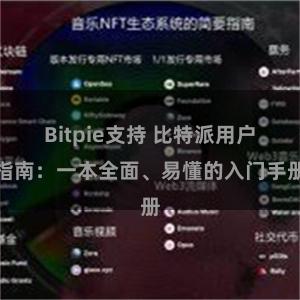 Bitpie支持 比特派用户指南：一本全面、易懂的入门手册