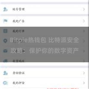 Bitpie热钱包 比特派安全攻略：保护你的数字资产
