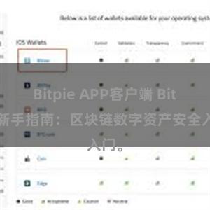 Bitpie APP客户端 Bitpie新手指南：区块链数字资产安全入门。
