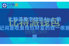 比特派数字钱包App 助记词是收复钱包财富的独一根据