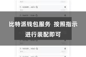 比特派钱包服务 按照指示进行装配即可