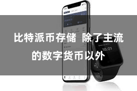 比特派币存储  除了主流的数字货币以外