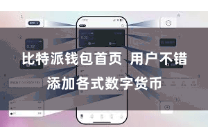 比特派钱包首页  用户不错添加各式数字货币