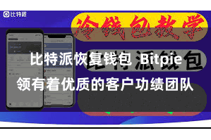 比特派恢复钱包  Bitpie领有着优质的客户功绩团队