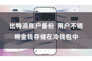 比特派账户备份  用户不错将金钱存储在冷钱包中
