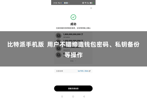 比特派手机版  用户不错缔造钱包密码、私钥备份等操作