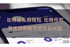 比特派私钥钱包  比特币和其他加密数字货币的兴起