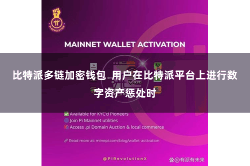 比特派多链加密钱包  用户在比特派平台上进行数字资产惩处时