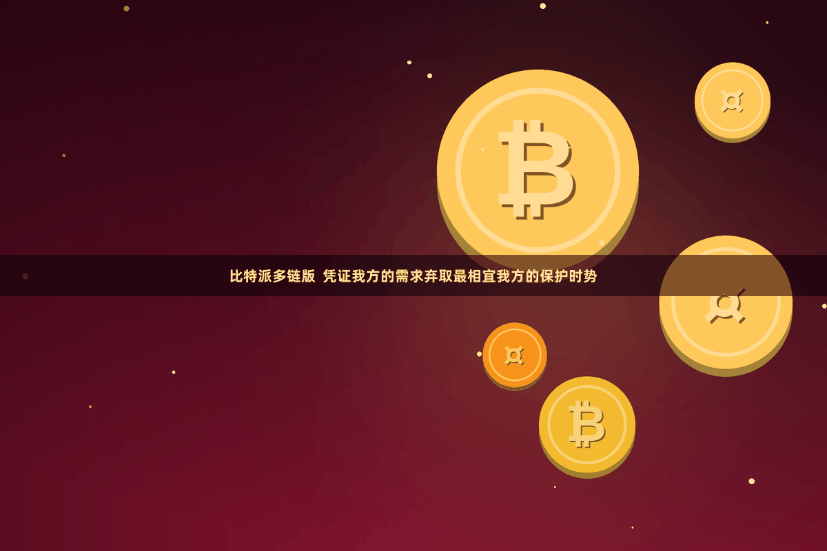 比特派多链版  凭证我方的需求弃取最相宜我方的保护时势